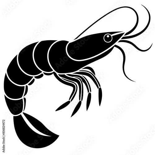shrimp vector illustration