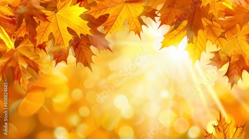 Autumn Background Adorned With Bright Yellow Leaves  Radiating Warmth And Coziness  Cartoon Background