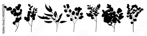 Eucalyptus medicine leaves silhouette stencil templates