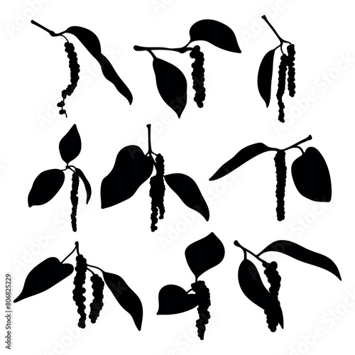 Black pepper leaves and fruits silhouette stencil templates
