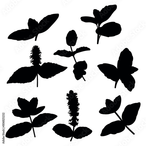 Mint leaves silhouette stencil templates
