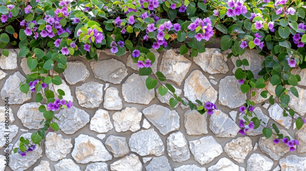 Purple flowers with green leaves grow on the stone wall Purple flowers with green leaves grow on the stone wall