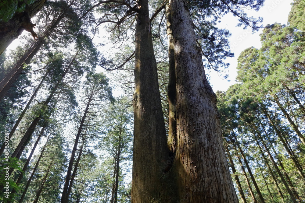 Fototapeta premium 日本 茨城の風景