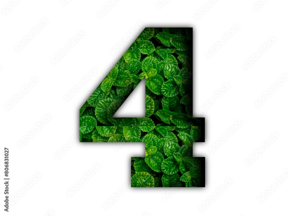 Design number 4 with leaf texture on white background.