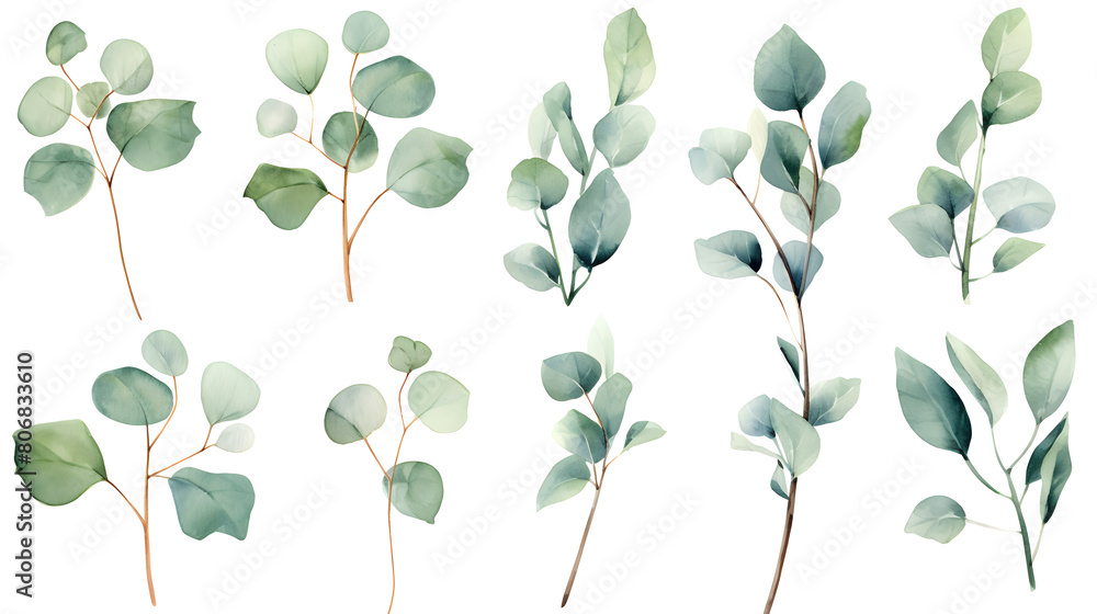 Digital eucalyptus watercolor set print pattern flower abstract graphic poster background Digital eucalyptus watercolor set print pattern flower abstract graphic poster background