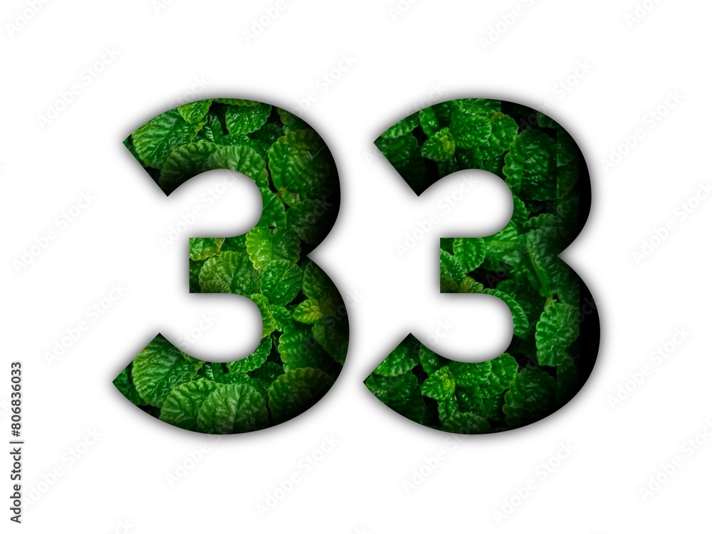 Design number 33 with leaf texture on white background. Design number 33 with leaf texture on white background.