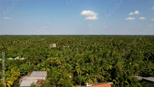 Flight over the tropical palm trees of  coconut plantations in Bến Tre, Vietnam, Asia. photo