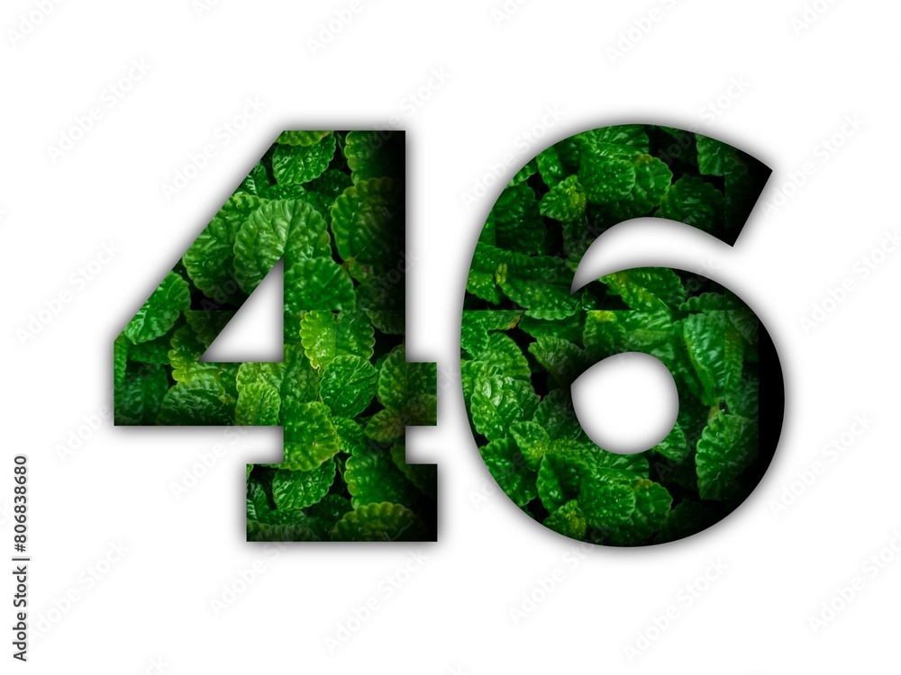 Design number 46 with leaf texture on white background. Design number 46 with leaf texture on white background.