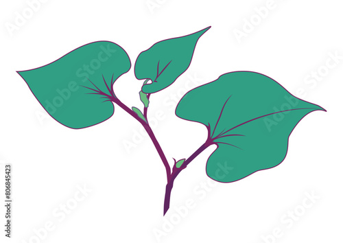 薬草のイラスト。回復薬や毒消しの草。