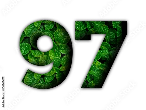 Design number 97 with leaf texture on white background.