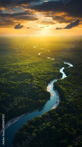 Aerial view of rainforest and river photo