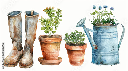 Fototapeta Naklejka Na Ścianę i Meble -  watercolor illustration of boots, watering can, greenhouseplant in the pot