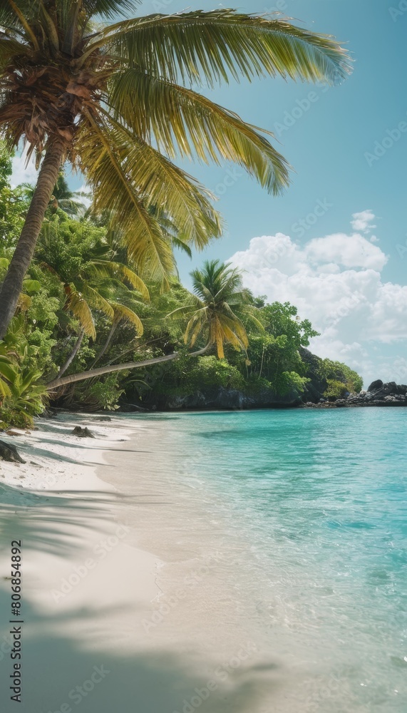 Fototapeta premium palm trees on the beach