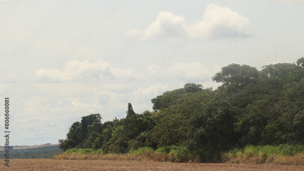 agricultural field at daytime harvest