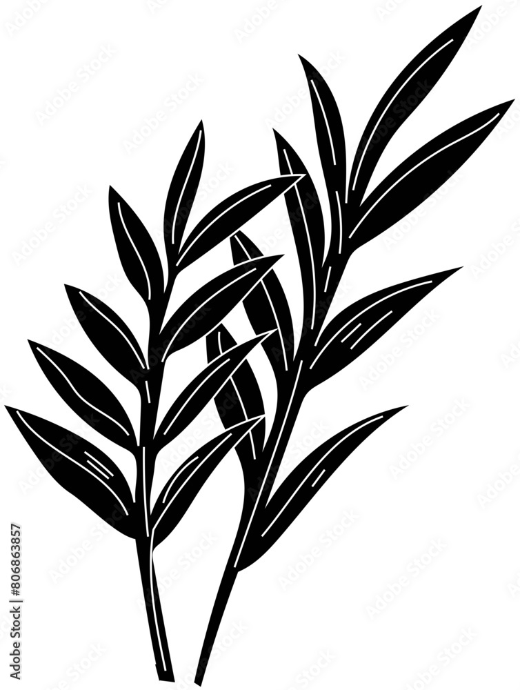 Fototapeta premium Rosemary icon illustration on transparent background. 