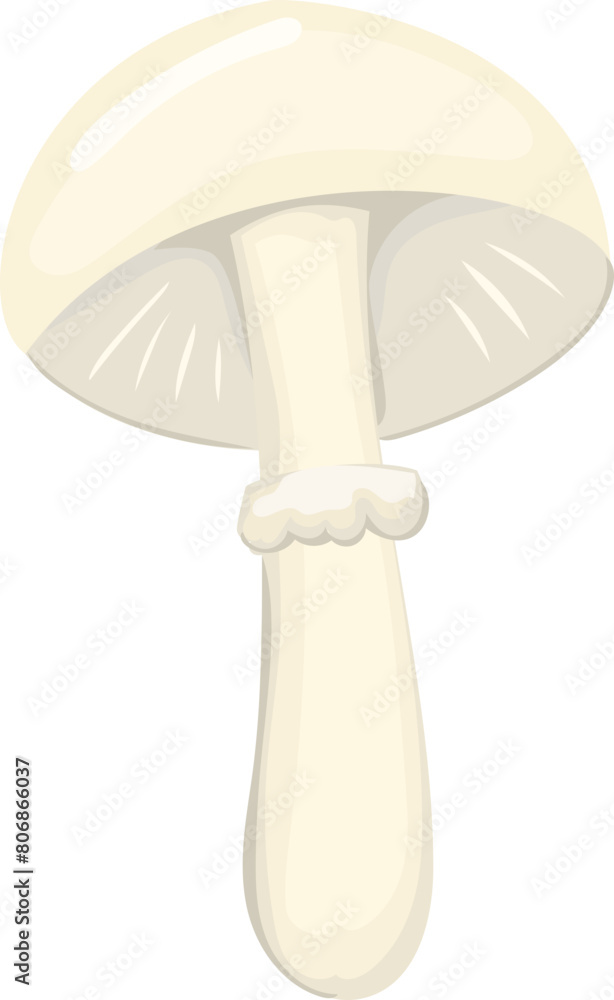Mushroom illustration on transparent background.
Mushroom illustration on transparent background.