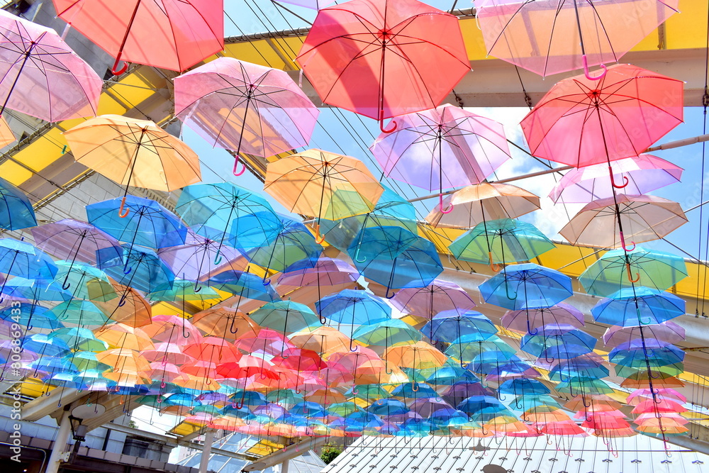 Obraz premium カラフル カラフルな傘 カラコロ工房 ビニール傘 島根