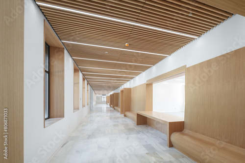 university faculty and university environment