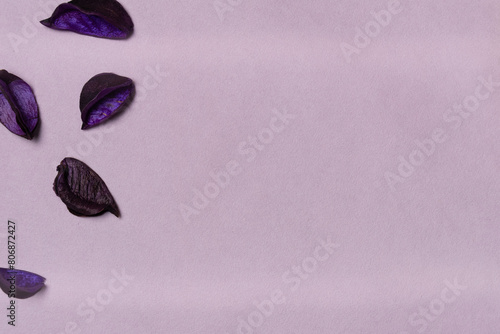 Mockup with copy space and petals on purple background from above. Flat lay, top view