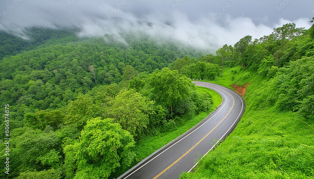 Fototapeta premium Aerial top view beautiful curve road on green forest in the rain season