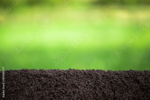 fertile ground against the background of blurry greenery