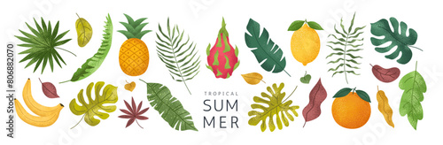 Set of hand drawn tropical leaves and fruits. Palm, banana leaf, monstera, orange, lemon, pineapple, dragon fruit. Exotic plants. Summer design elements. Vector botanical illustration.