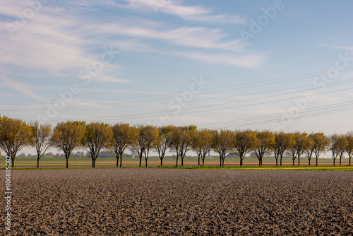 Spring landscape, Typical Dutch polder land with warm sunlight in the morning, Plowed the soil on the filed for agriculture and trees with high voltage pole, Countryside of Noord Holland, Netherlands.