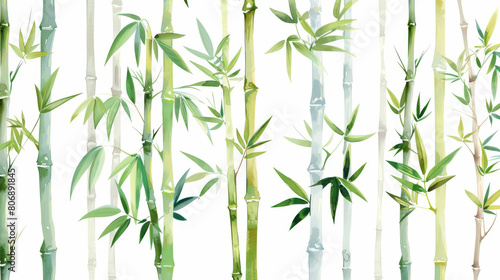 A watercolor painting of bamboo trees with green leaves isolated on white  oriental pattern background.