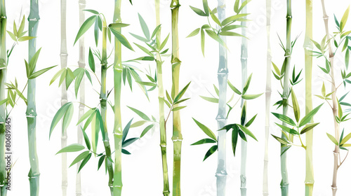 A watercolor painting of bamboo trees with green leaves isolated on white, oriental pattern background.