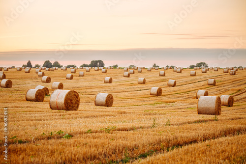 Great view of a field with round hay bales. photo