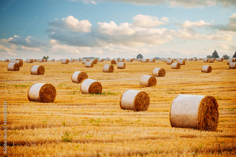 Splendid view of a field with round hay bales.