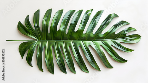 Tropical Green Palm Leaf Cut Out on White Background, Exotic Botanical Foliage for Tropical Designs, Generative Ai