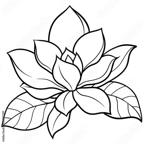 Magnolia flower outline illustration coloring book page design,Magnolia flower black and white line art drawing coloring book pages for children and adults
