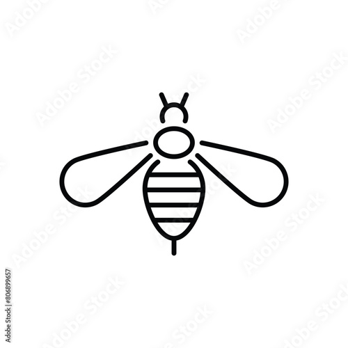 Bee  vector icon