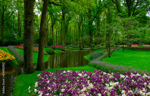 Spring flower park with green grass, trees and blooming flowers
