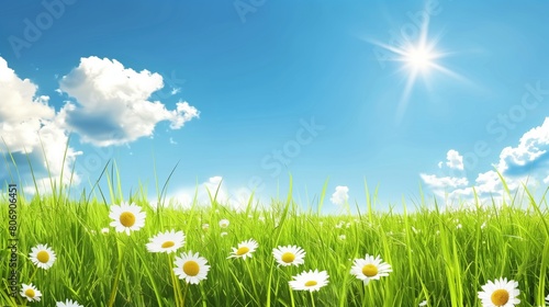 Spring Scenery with Blue Sky