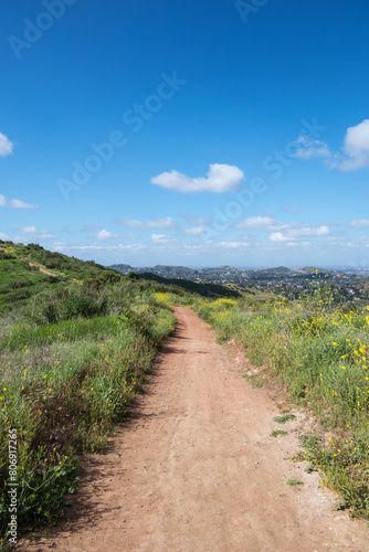 Santiago Oaks Regional Park hiking trail in the Anaheim Hills community of Orange County California.  Vertical view.