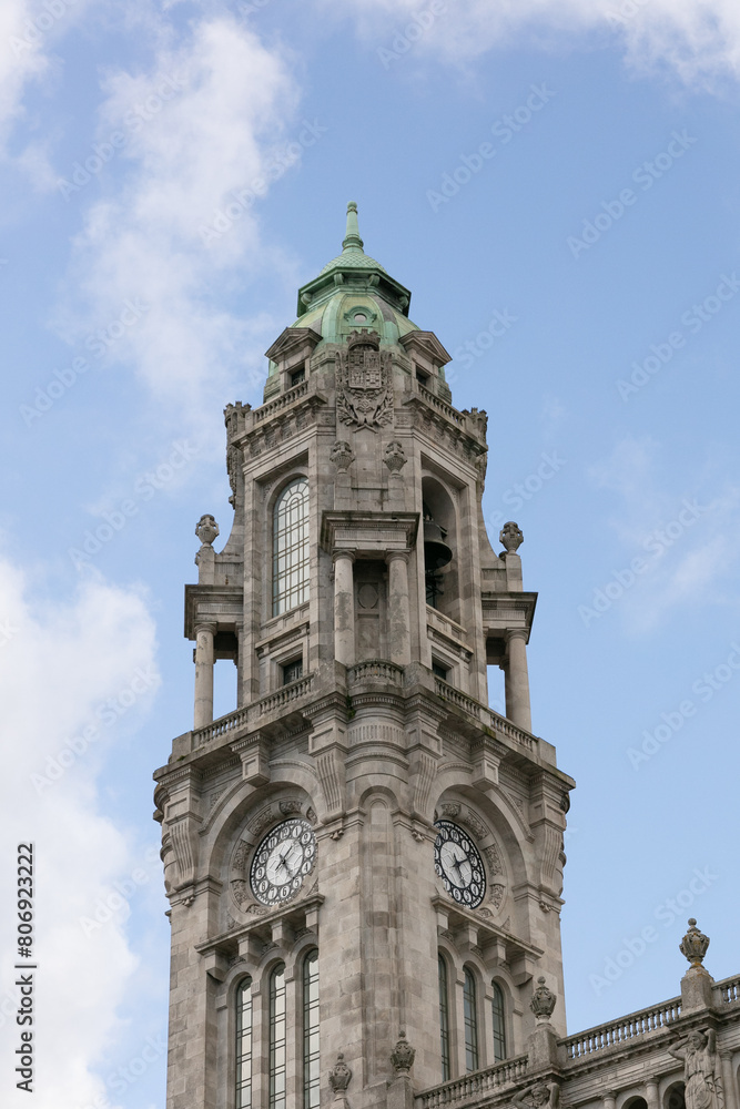 Fototapeta premium Porto town hall on Avenida Dos Aliados