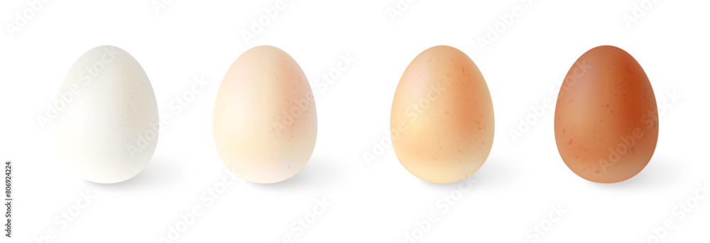 Set of realistic chicken eggs. Vector illustration isolated on white background Set of realistic chicken eggs. Vector illustration isolated on white background