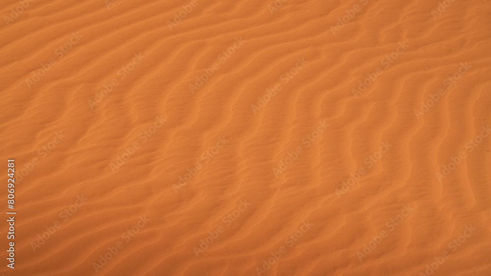 Desert sand dunes texture Desert sand dunes texture
