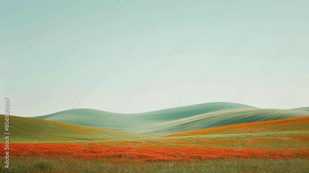 Panoramic view, landscape - beautiful red poppies bloom among the wheat fields on the hills. Watercolor hand drawn painting illustration.