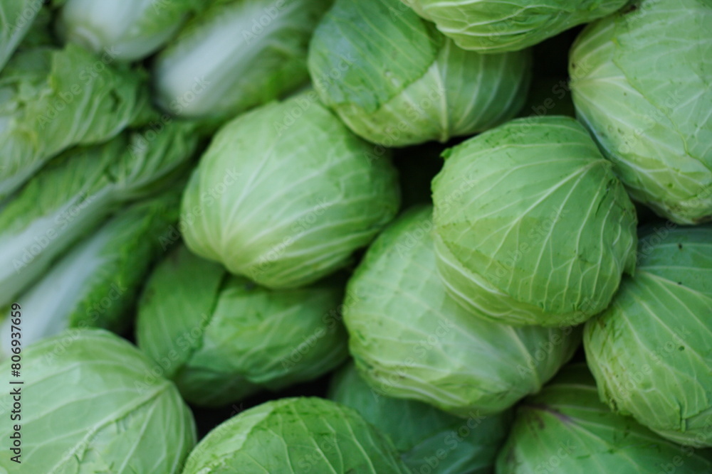 city sprouts in the market city sprouts in the market