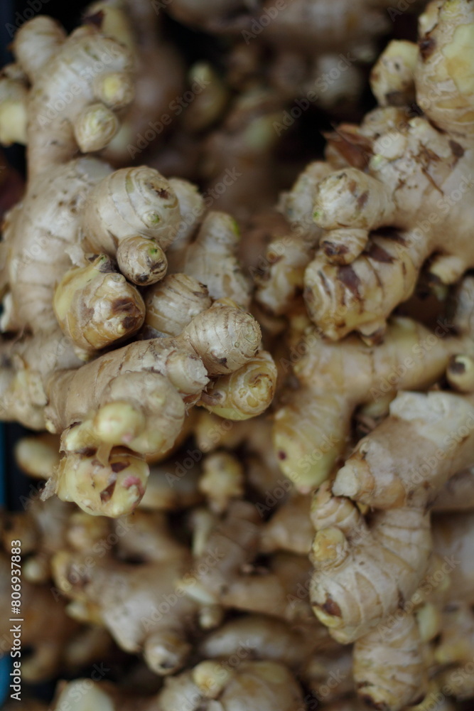 fresh ginger root fresh ginger root
