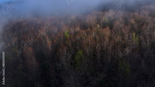 Beech forest among the fog at sunset. Aerial view from a drone. Portillo de la Sía near the town of La Gándara in the Soba Valley. Pasiegos Valleys. Cantabria. Spain. Europe photo