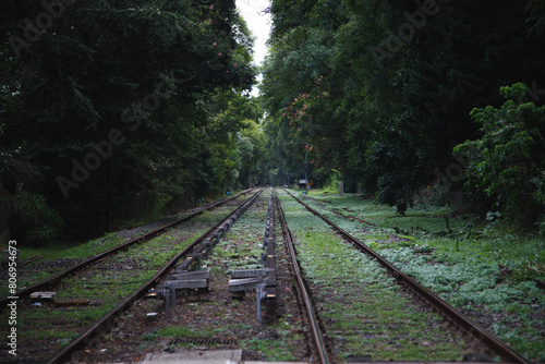 railway in the forest