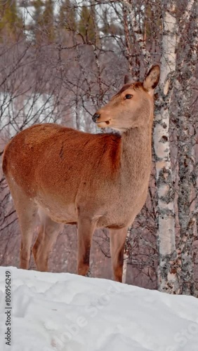 Wallpaper Mural Aerial view of beautiful Norway landscape Torontodigital.ca
