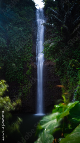 A beautiful waterfall scenery with green leaves