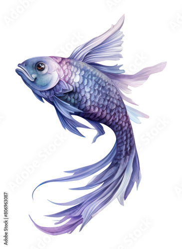 PNG Pisces zodiac sign animal fish underwater. © Rawpixel.com