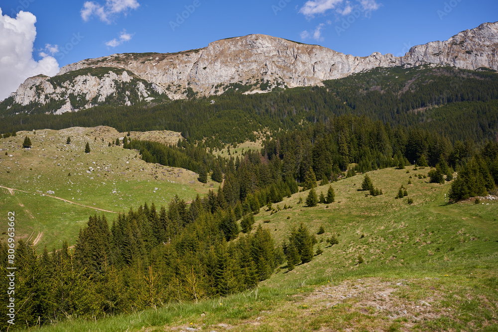 Rocky mountain peaks and pine forests