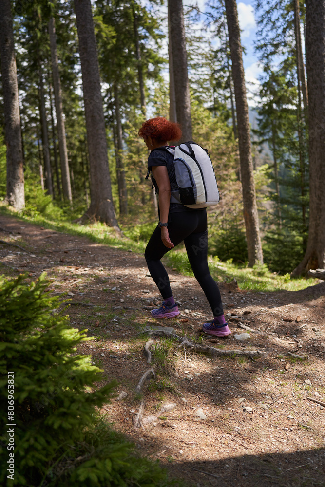 Woman hiker with backpack in a pine forest Woman hiker with backpack in a pine forest